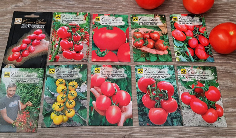 Сорта томатов для выращивания по голландской технологии