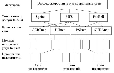 "net" в контексте компьютерных сетей