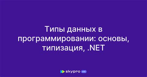 "net" в программировании