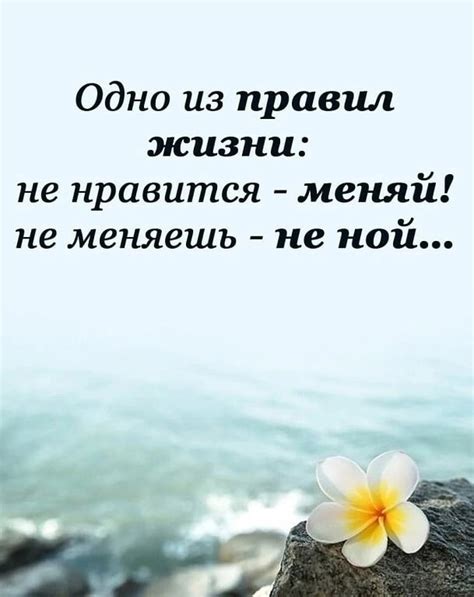 «Душа богата не тем, что имеет, а тем, что отдает». (Суругу Велибей)