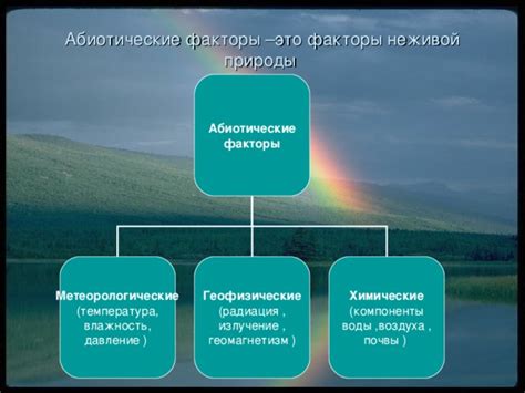 Абиотические факторы как связующее звено