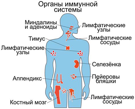 Автоиммунные заболевания и воспалительные процессы