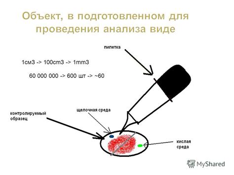 Автоматизация процесса анализов