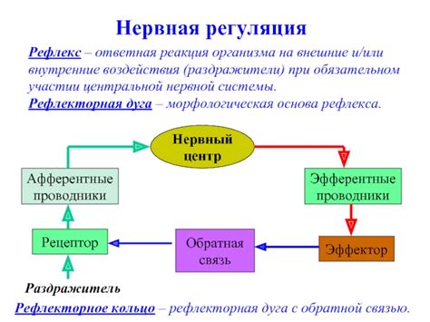 Автоматическая реакция организма на внешние и внутренние раздражители