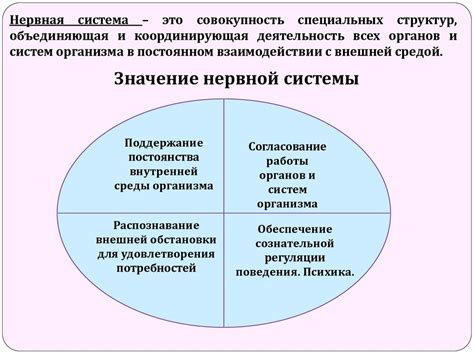 Автоответчик: понятие и функционирование