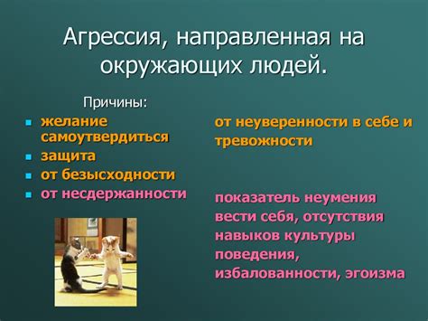 Агрессия и опасность для окружающих