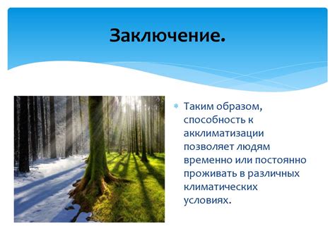 Адаптация хорошей розы ветров к различным климатическим условиям