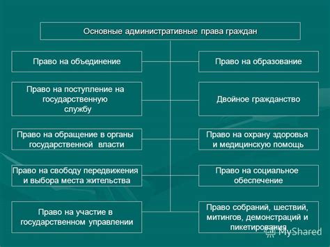 Административные права и обязанности