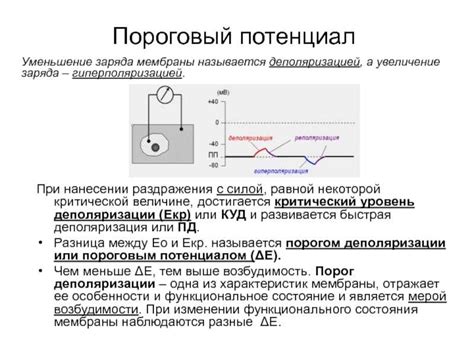 Адреналин: физиология и влияние на организм