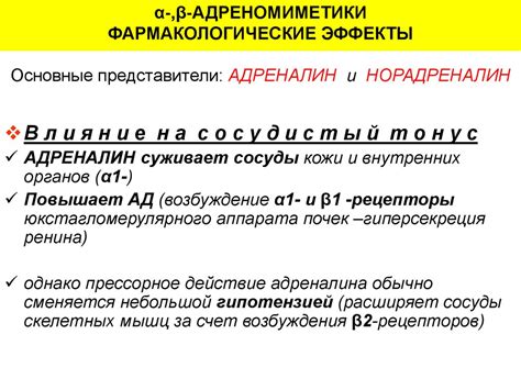 Адреналин и норадреналин: основные симпатомиметики