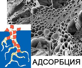 Адсорбированная вода: определение