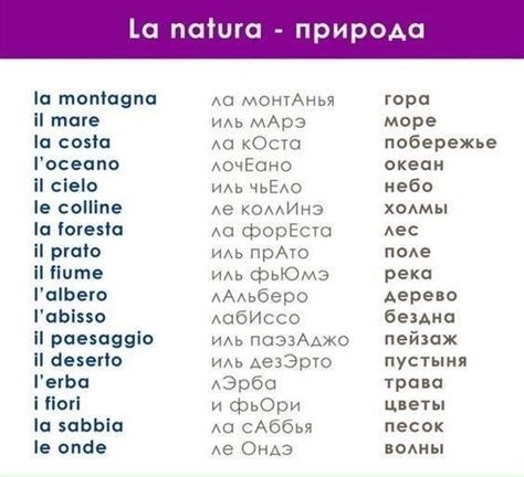 Актуальный интерес к значению слова «пакито» на испанском языке