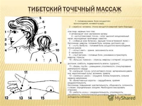 Акупунктурный массаж как альтернатива традиционным методам лечения