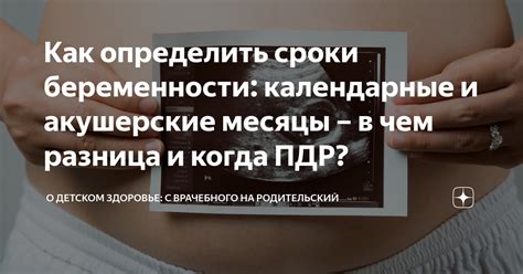 Акушерские сроки: определение и значение