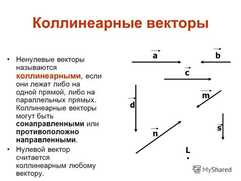 Алгебраическая интерпретация коллинеарных векторов