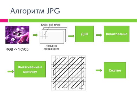 Алгоритмы сжатия графики