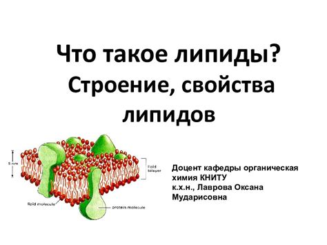 Алгоритм обмена липидов: что это такое?