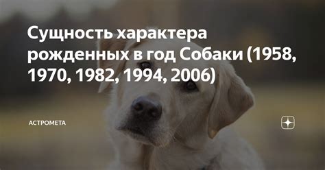 Алегорическая сущность белой собаки в сновидениях: таинственные знамения и глубинная символика