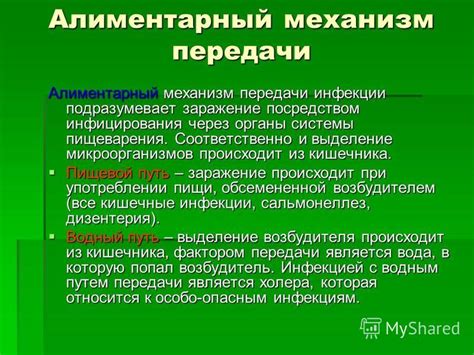 Алиментарный путь передачи в медицине