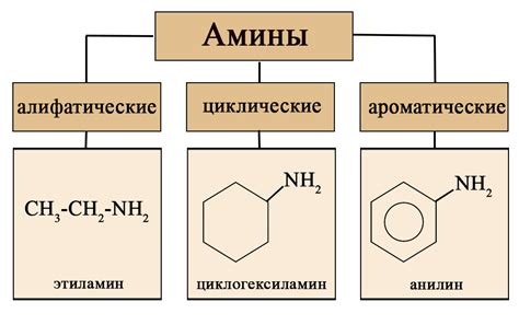 Алифатические амины: что это такое?