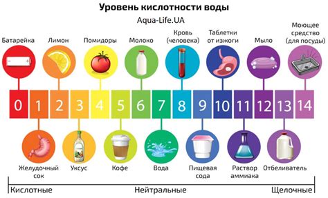 Алкалинная и кислотная среда: что это означает