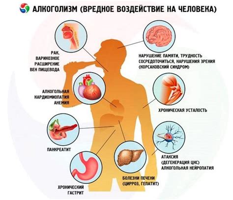 Алкоголь: коммерческий спирт и его воздействие на организм