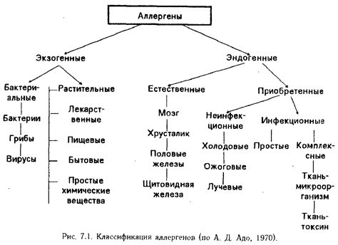 Аллергены и их классификация