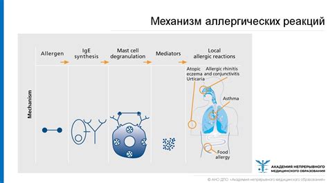 Аллергические реакции: