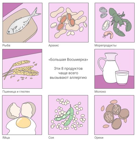 Аллергические реакции: пищевые и лекарственные аллергены
