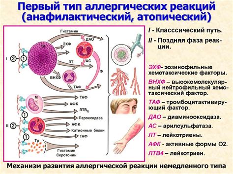 Аллергические реакции на раздражители