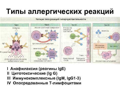 Аллергические реакции на различные вещества