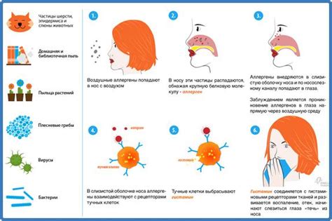 Аллергия и "утерла нос"