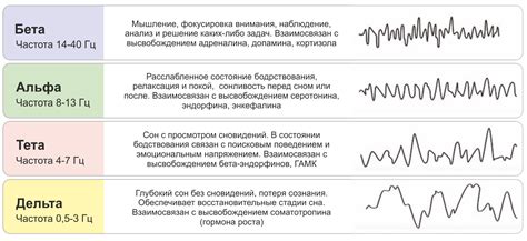 Альфа-ритм в мозге