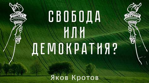 Американская политика: демократия и свобода