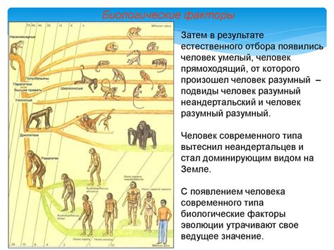 Анабиоз и его роль в биологической эволюции