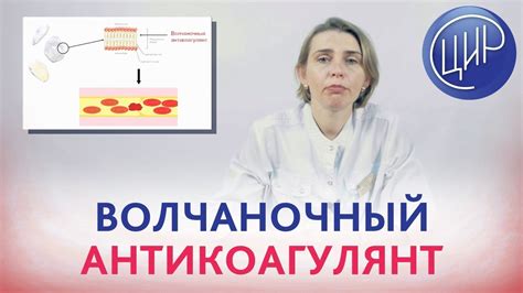 Анализы: как обнаружить волчаночный коагулянт?