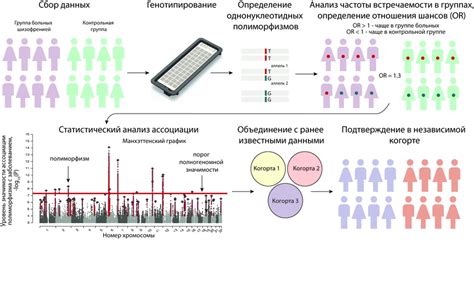 Анализ ассоциаций и эмоциональных оттенков, связанных с фразой "втрескаться по самые помидоры"