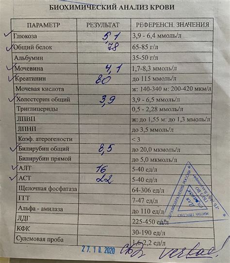 Анализ внешности и поведения