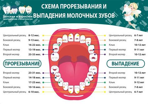 Анализ зубной формулы при планировании лечения