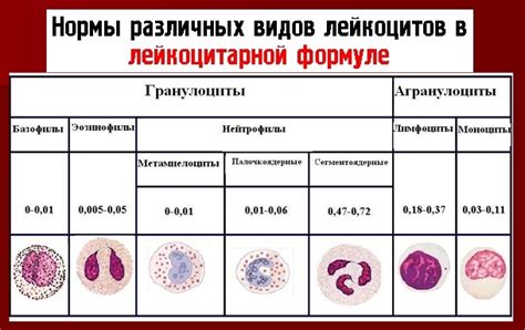 Анализ и диагностика палочкоядерных нейтрофилов у детей