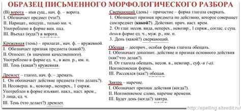 Анализ и разбор значений магарии в разных контекстах