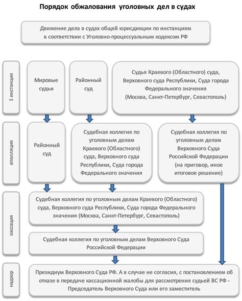 Анализ приговора суда