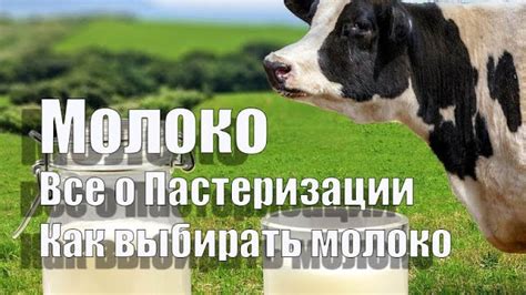 Анализ символа молока: понимание глубинного содержания