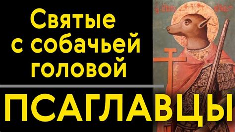 Аналогии с собачьей свадьбой