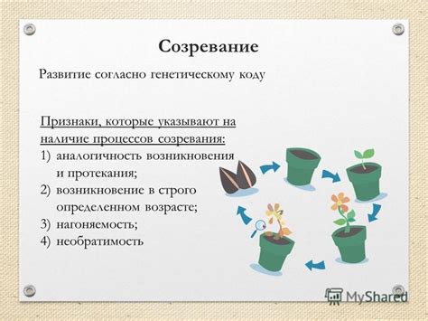 Аналогичность и сравнение