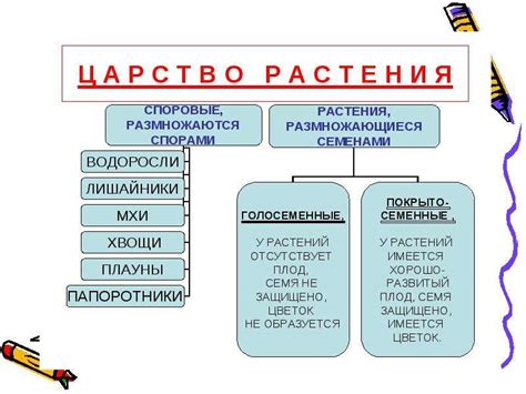 Аналоги и сходные понятия