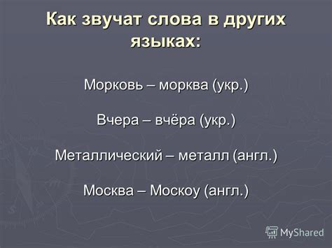 Аналоги слова "светик" в других языках