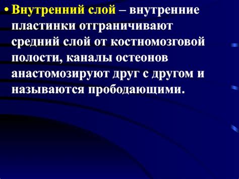 Анастомозируют друг с другом: объяснение понятия и примеры