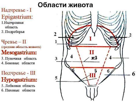 Анатомия картины: разделение на символические области