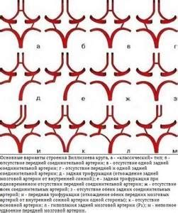 Аномалии и расстройства магистрального кровотока